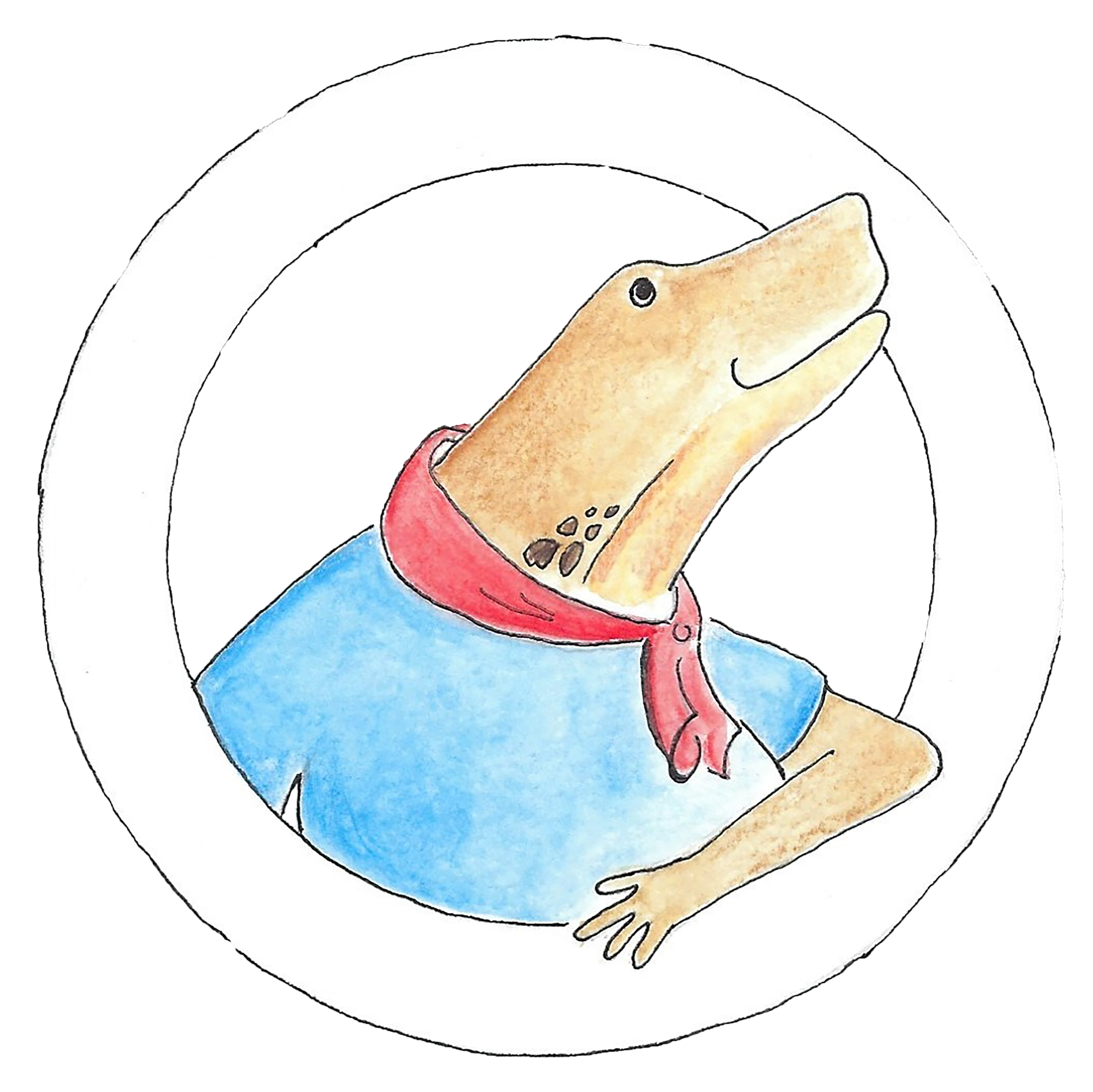 Illustration von Julius dem Molch